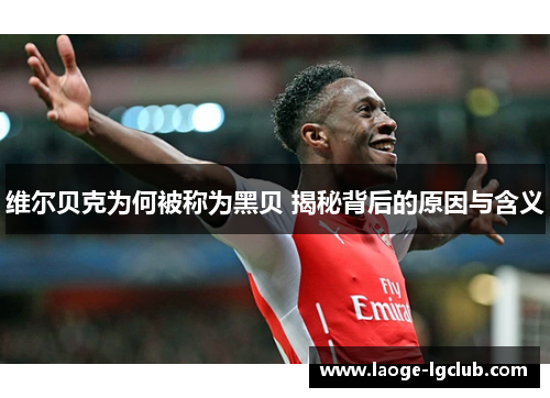 维尔贝克为何被称为黑贝 揭秘背后的原因与含义 维尔贝克为何被称为黑贝 揭秘背后的原因与含义