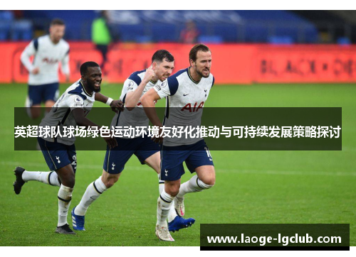 英超球队球场绿色运动环境友好化推动与可持续发展策略探讨 英超球队球场绿色运动环境友好化推动与可持续发展策略探讨