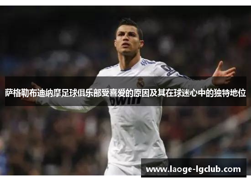 萨格勒布迪纳摩足球俱乐部受喜爱的原因及其在球迷心中的独特地位 萨格勒布迪纳摩足球俱乐部受喜爱的原因及其在球迷心中的独特地位